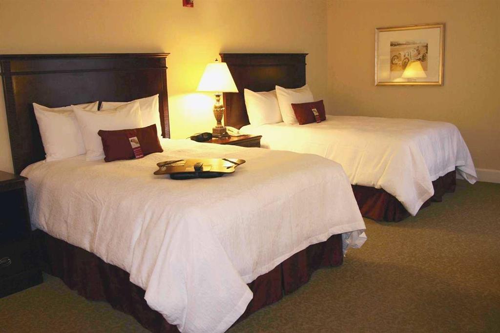 Hampton Inn & Suites Birmingham-Downtown-Tutwiler Rum bild
